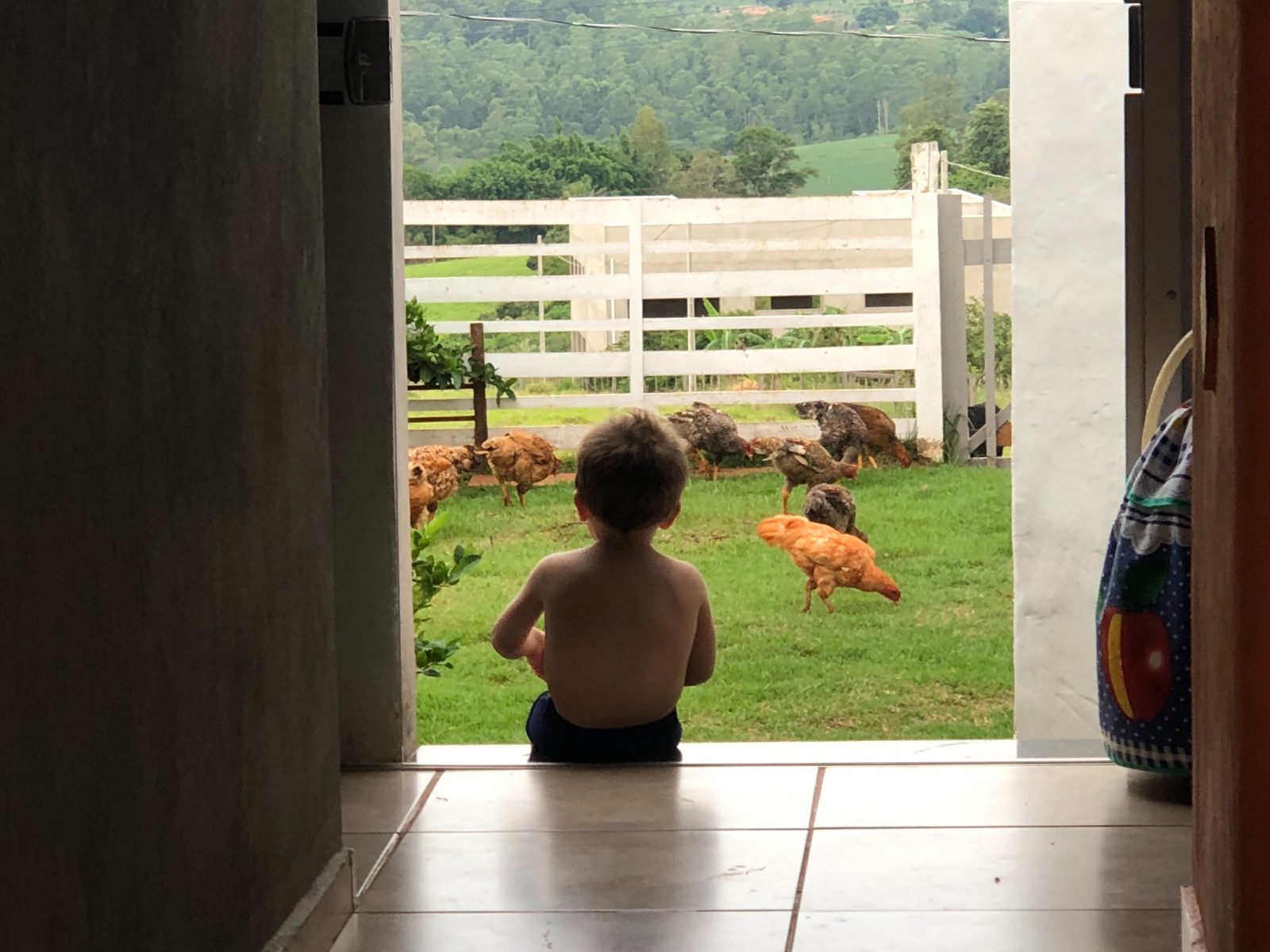 Ein Kind hockt zwischen Hühnern in einem Hof im brasilianischen Hinterland.